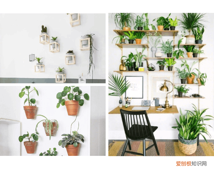 家里解暑的方法