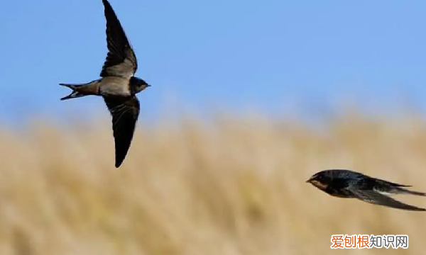 朱自清是在什么情况下写的匆匆