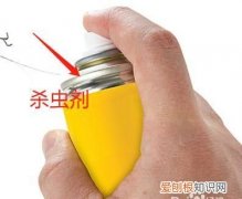 喷了杀虫剂怎么散味，家里喷了杀虫剂味道很浓怎么处理