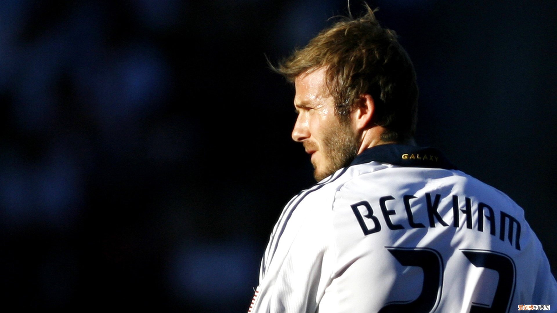 高速超速50%扣12分吊销吗 超速50%以上怎么处罚扣几分