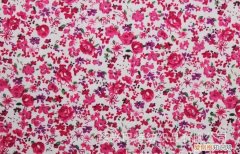 印花桃皮绒布多少钱一米 桃皮绒印花布面料价格怎么样贵