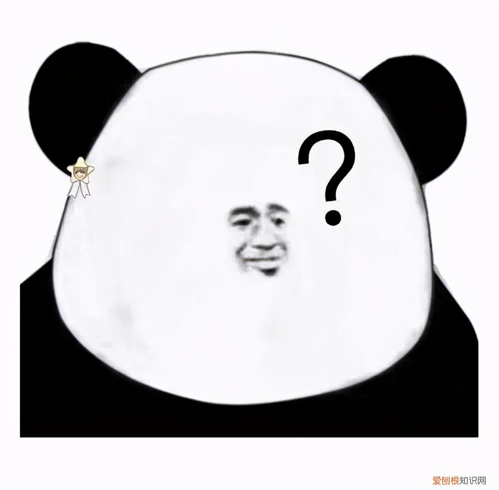 益生菌除了与肠道有关系，还与身体哪些部位有关系？