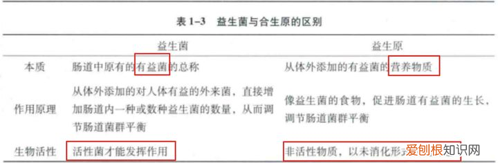 益生菌除了与肠道有关系，还与身体哪些部位有关系？