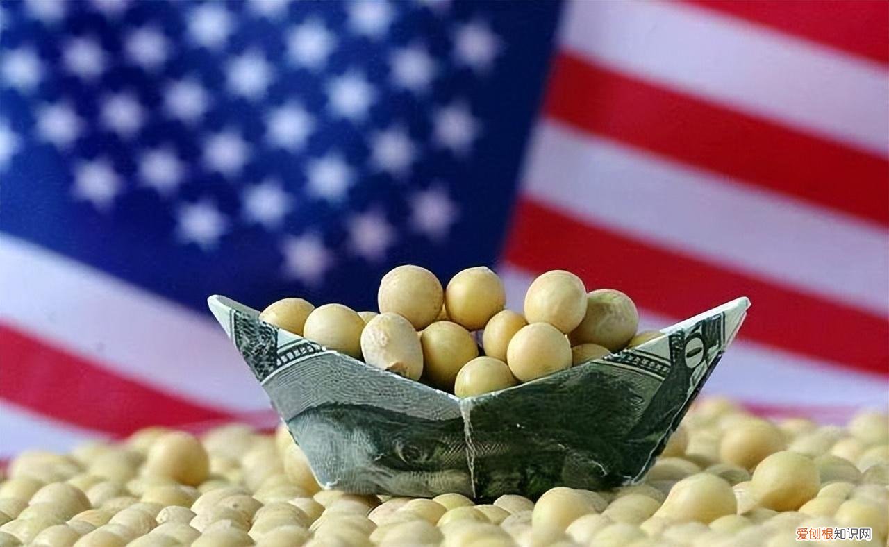 中国连抛1001亿美债后，开始大规模买进美大豆，外媒：或采购更多