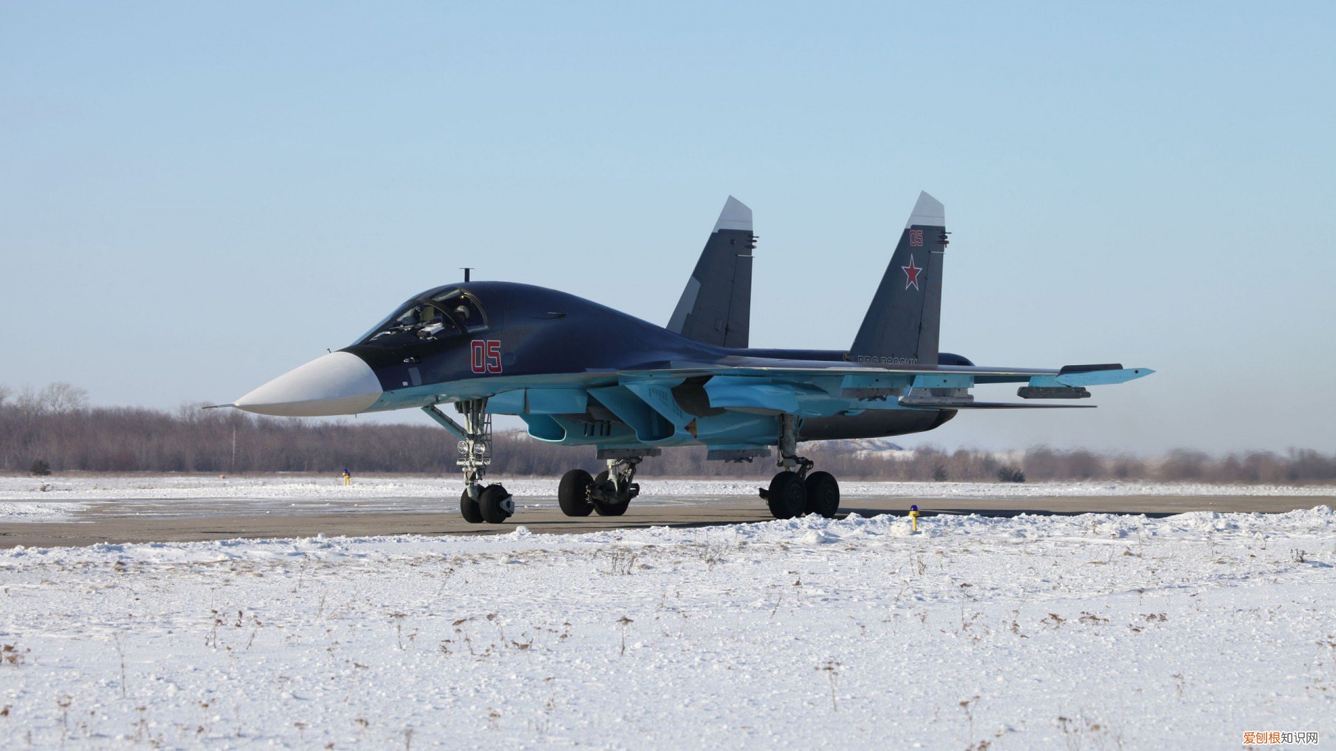 人间好时节丨大暑