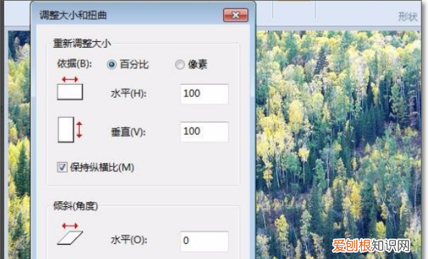 画图工具怎么样调整大小，画图工具调整大小后大小不改变
