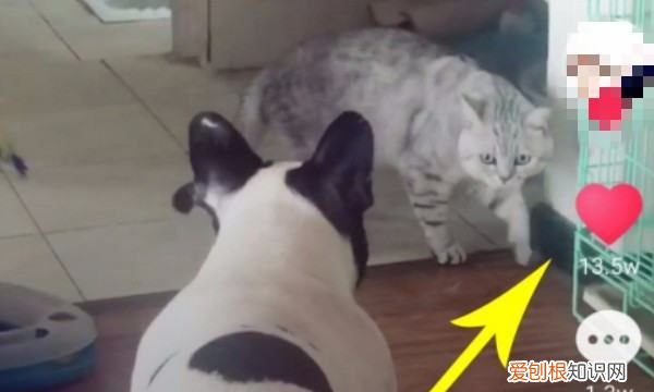 抖音怎么清除喜欢作品，抖音里喜欢的作品怎么删除