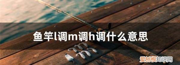 鱼竿l调什么意思,鱼竿l调m调h调什么意思 怎么买