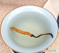 儿童能吃冬虫夏草 儿童可以吃冬虫夏草