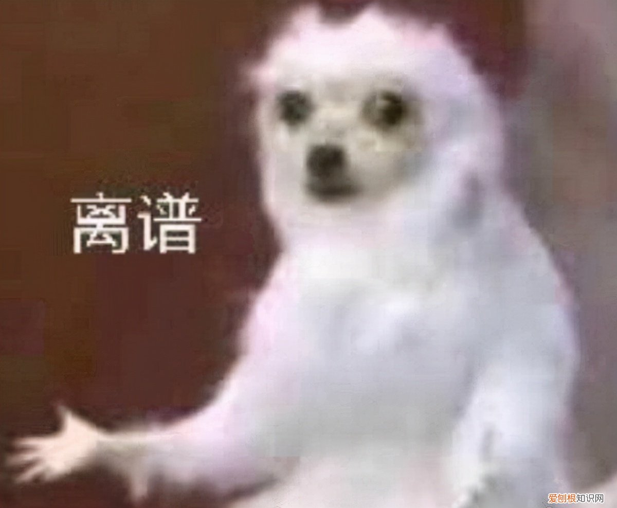 gta5女角色最新捏脸数据 gta5漂亮小姐姐捏脸数据