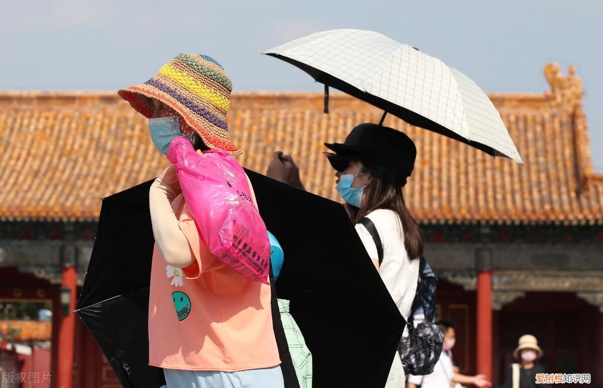 三伏天，无论多忙，都别忘“补3样忌3样”，应季而食，安稳过三伏