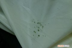 床单发霉了还能用，棉质文胸发霉了还能穿