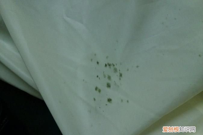 床单发霉了还能用，棉质文胸发霉了还能穿