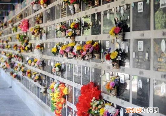 10年山东殡仪馆火化尸体，登记信息与2年前一致，调查发现不简单