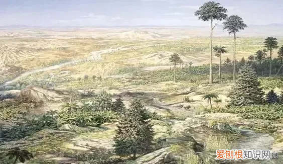 松木家具 松木在哪里