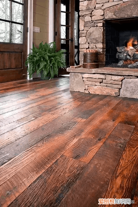 松木家具 松木在哪里