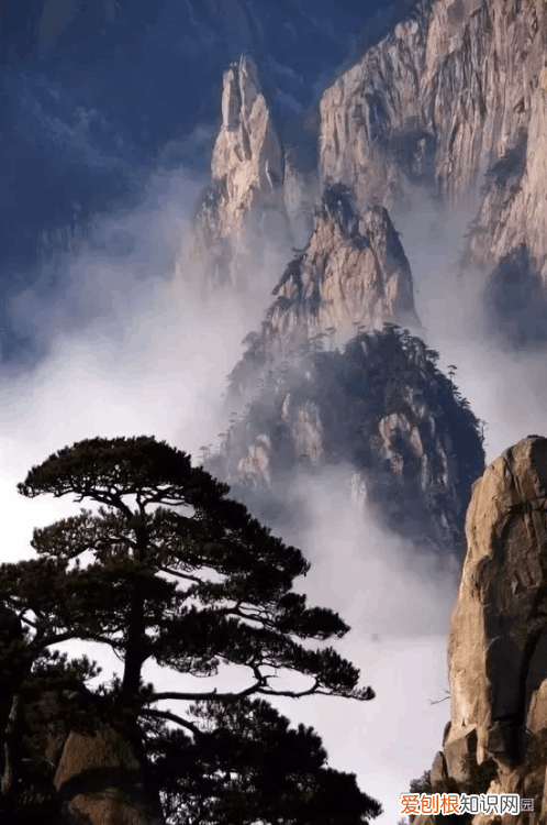 松木家具 松木在哪里