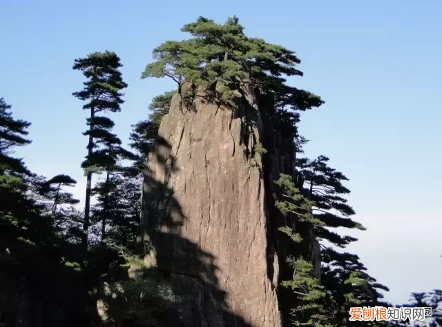 松木家具 松木在哪里