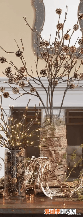 松木家具 松木在哪里