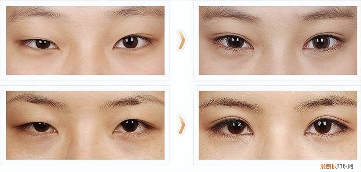 照镜子和拍照为什么差别大 照镜子和照相哪个更接近本人