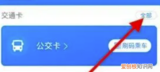 支付宝交通卡怎么退卡，看到了支付宝有海外交通卡怎么办
