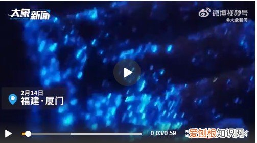 大海为何会流蓝眼泪 蓝眼泪是怎么形成的