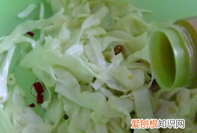 酸包菜的腌制方法，怎么腌制酸包菜好吃不烂