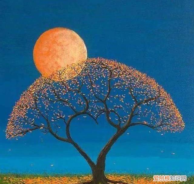 老粗布的优势及缺点 老粗布有什么优缺点