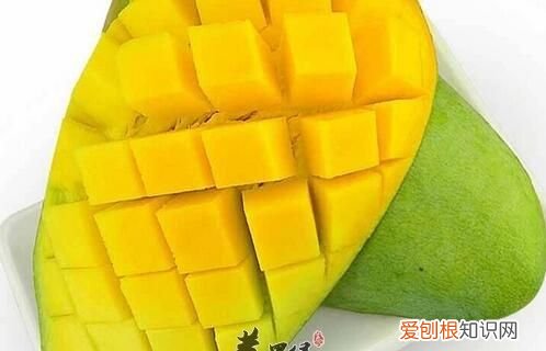 孕妇可以吃青芒果，孕妇可不可以吃芒果 孕妇可以吃芒果