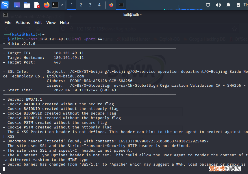 在线网站漏洞扫描工具 网站漏洞扫描软件有哪些