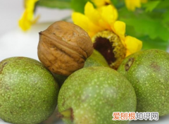 核桃外皮能当肥料 核桃外皮是否可以做肥料