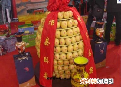 山西最具代表性的东西 山西丰富物产是什么