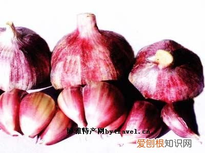 山西最具代表性的东西 山西丰富物产是什么