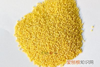 山西最具代表性的东西 山西丰富物产是什么