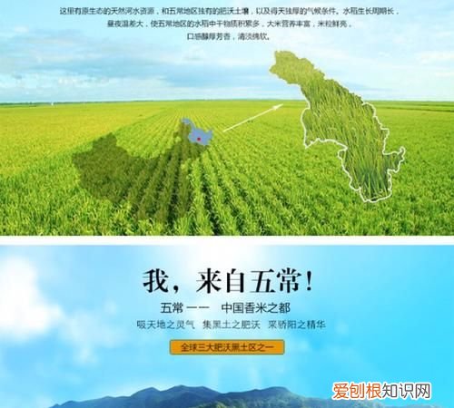 五常是哪个省的城市 五常是哪个省下属的城市