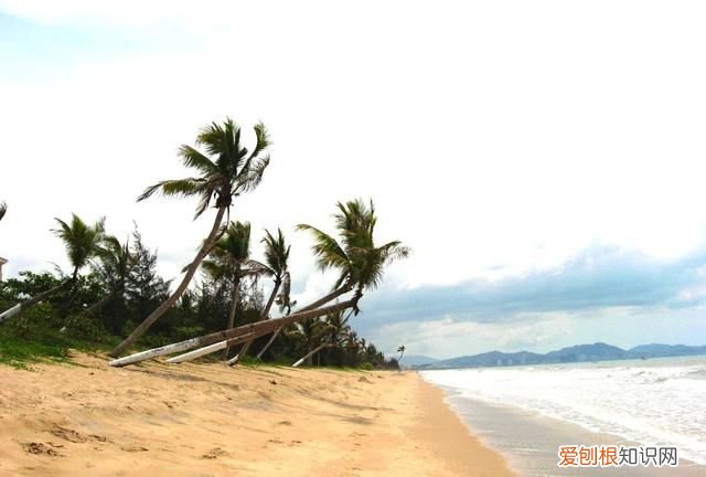 三亚哪个景点可以轻松度假旅游 三亚度假自由行吃住玩全攻略