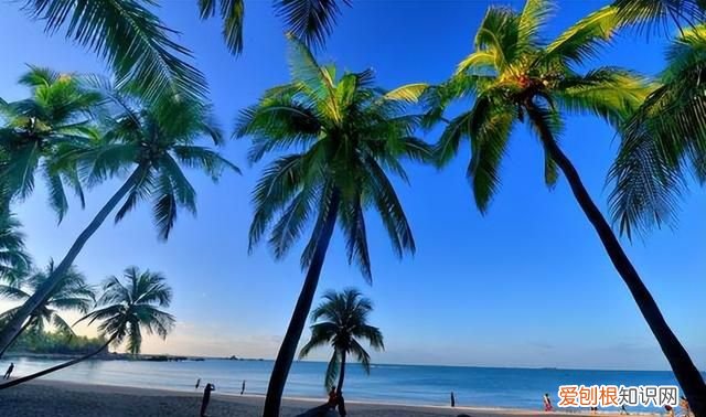 三亚哪个景点可以轻松度假旅游 三亚度假自由行吃住玩全攻略