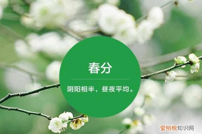 春分是什么日子 春分是什么哪天