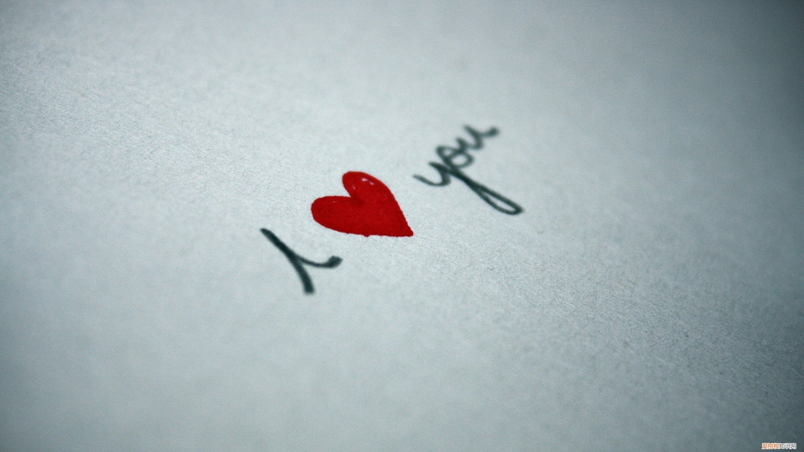 专访｜7岁那年，谢思埸从十米台纵身一跃，直到现在和未来