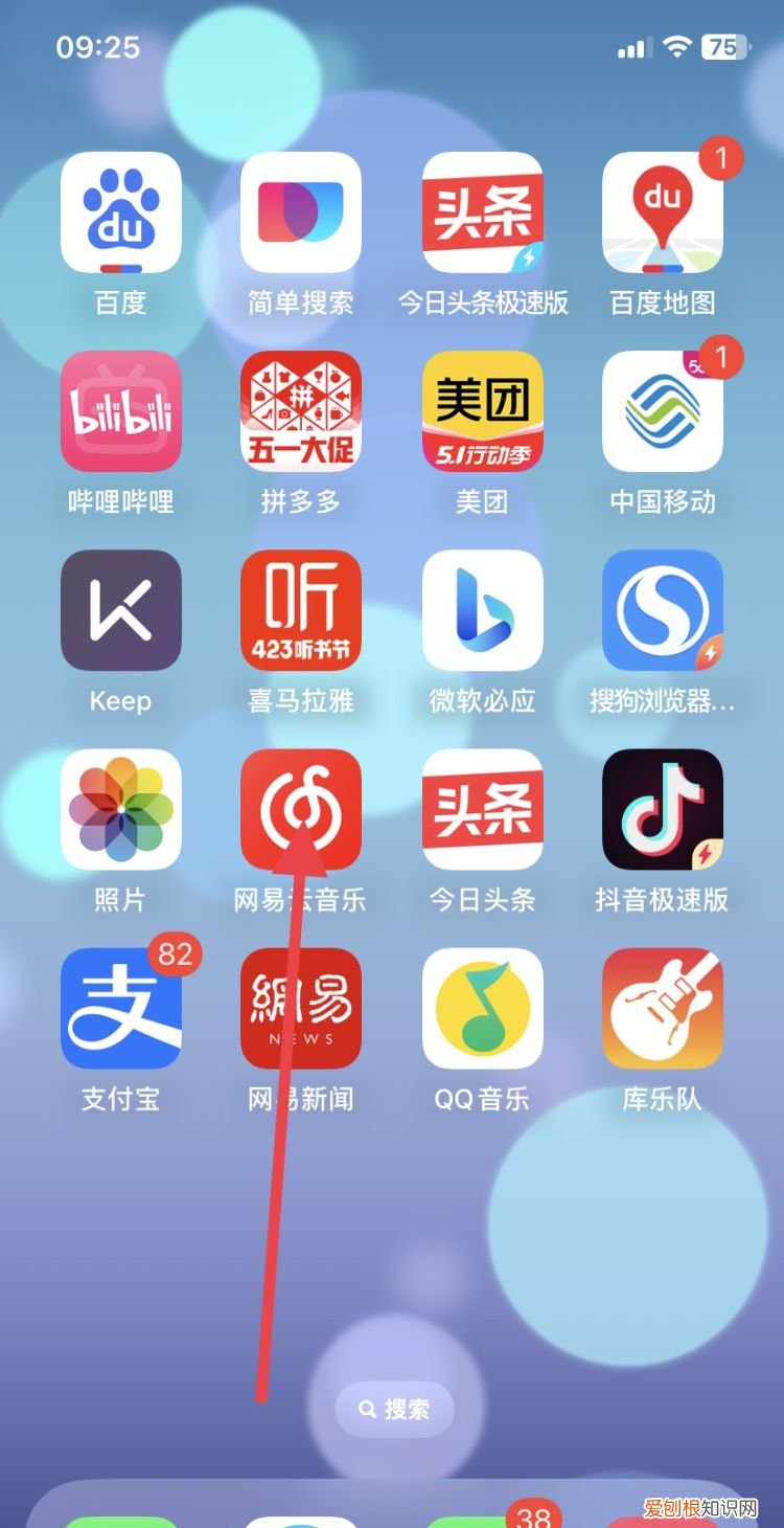 网易云应该要怎么购买单曲