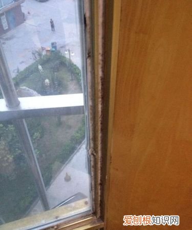 室内竹子发霉怎么处理，室内发霉怎么处理 室内发霉如何处理