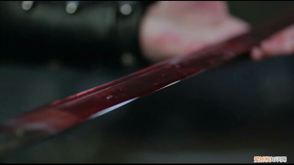 鹰击长空万里阔不负春光奋发时 鲜衣怒马少年时全诗赏析不负韶华行且知