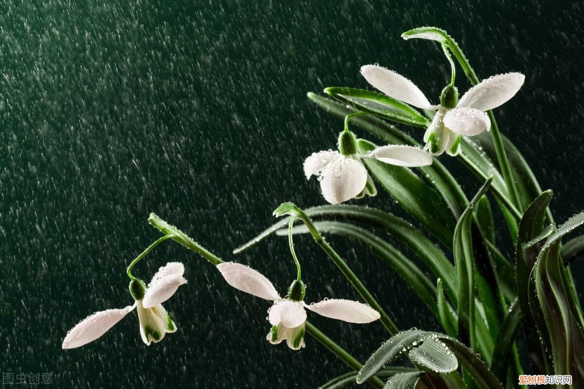 你喜欢穿的衣服，暴露了你的性格