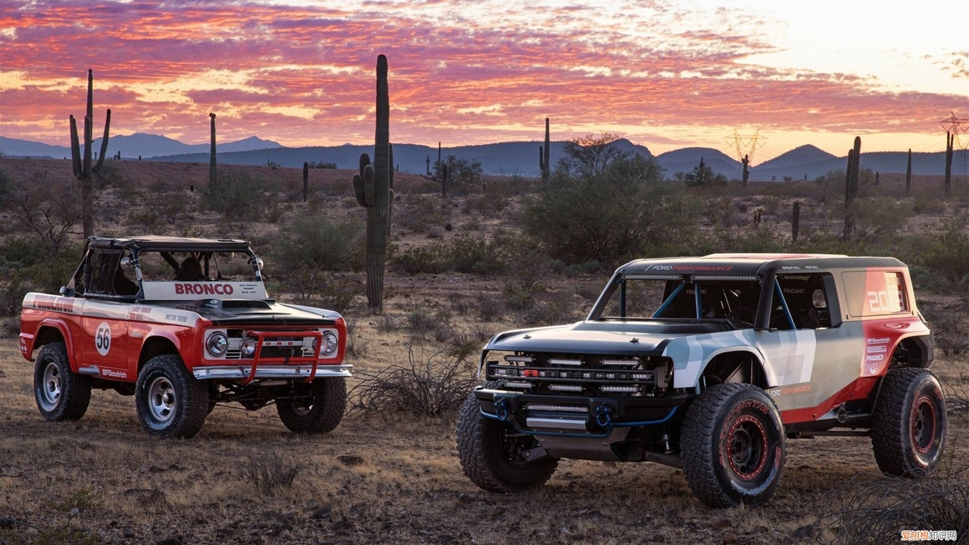 制造业工资增速高于越南、印度，中国谋求供应链数字化转型