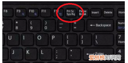 word上的打印预览在哪，word2019怎么看打印预览