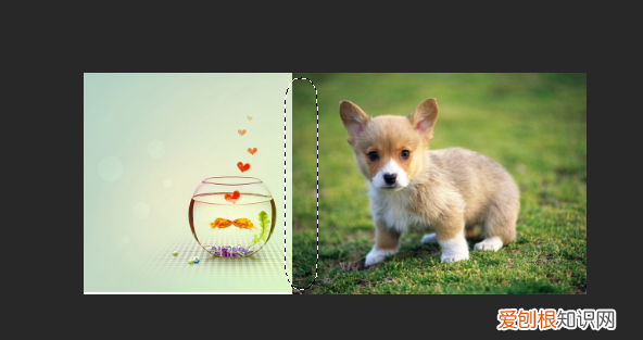 ps处理图片的基本方法，ps上可以怎么消除拼接痕迹