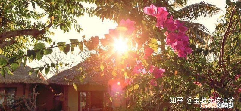 心有希望，前途“光”明——《独行月球》影评