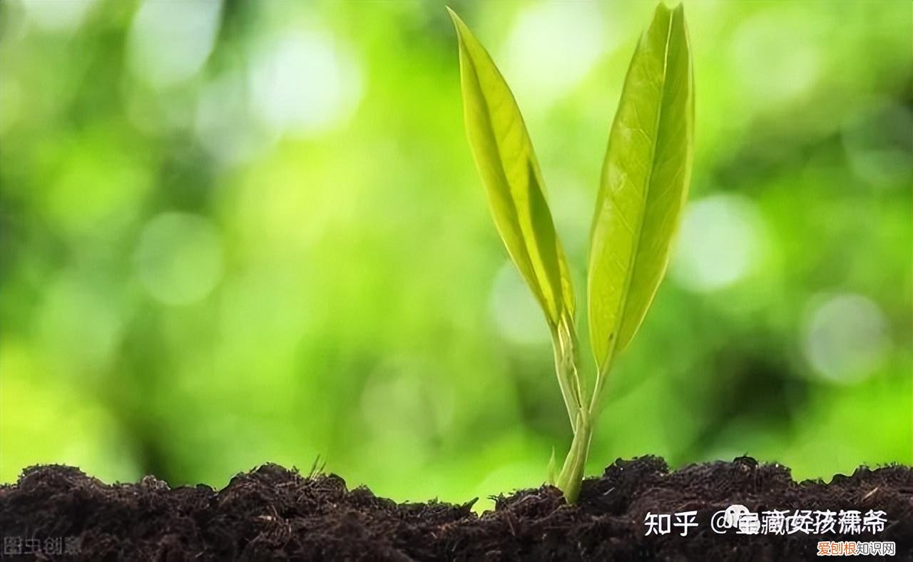 心有希望，前途“光”明——《独行月球》影评