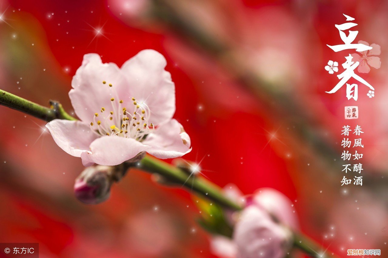 立春有啥忌讳 牢记5习俗6禁忌