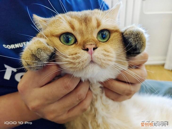 200W超快闪充iQOO,10,Pro评测：真正进入十分钟充满电的时代